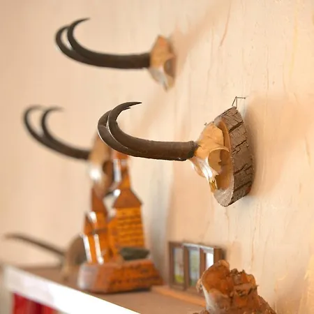 Chesa Panorama Daire *