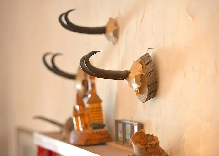 Chesa Panorama Διαμέρισμα *